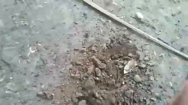 METAL DETEKTOR QUASAR PULO CANGKIR смотреть онлайн