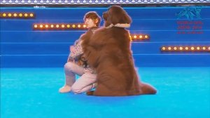FCI Dog dance World Championship 2016 – Freestyle final - Marina Novoselova and FUNNYUF (Russia)