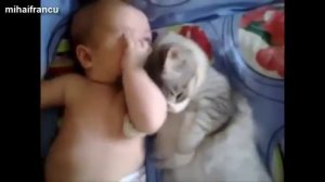 Лучшее! Кошки и собаки защищают детей!