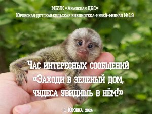 Час интересных сообщений «Заходи в зеленый дом, чудеса увидишь в нем»