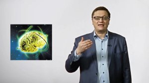 Андрей Кананин. Лекция четвертая. "Как появились разум и сознание?"