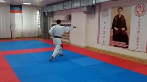 Косики каратэ. Ката Хейан Шодан. Kata Heian Shodan. Быстрое и медленное выполнение ката.