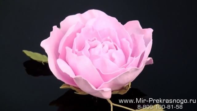 Брошь авторская из фоамирана "Пионовидная Роза" смотреть онлайн