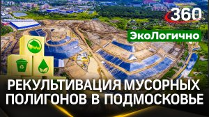 Новая система переработки отходов: как утилизируют мусор в Подмосковье | «ЭкоЛогично»