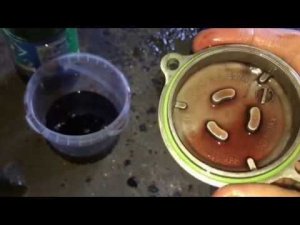 Aprilia Pegaso - Замена масла.