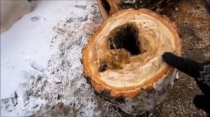 Неудавшийся скворечник или цветник из бревна