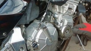 Honda CB600F Hornet. Steuerkettenspanner.