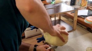 Механическая шинковка для капусты