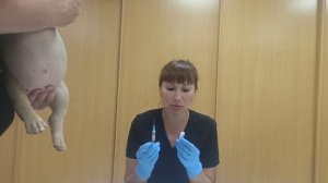 Вакцинация щенков и собак. Вакцина Биокан puppy.