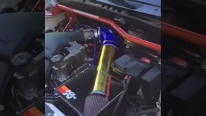 Калина спорт на валах