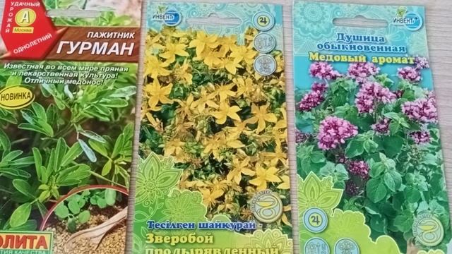 Мои покупки семян овощей, зелени и цветов. Конус посадочный. Классная дача. Костанай. смотреть онлайн