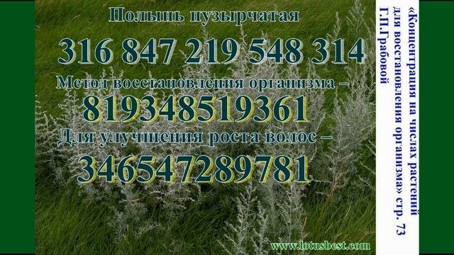 Восстановление волос.