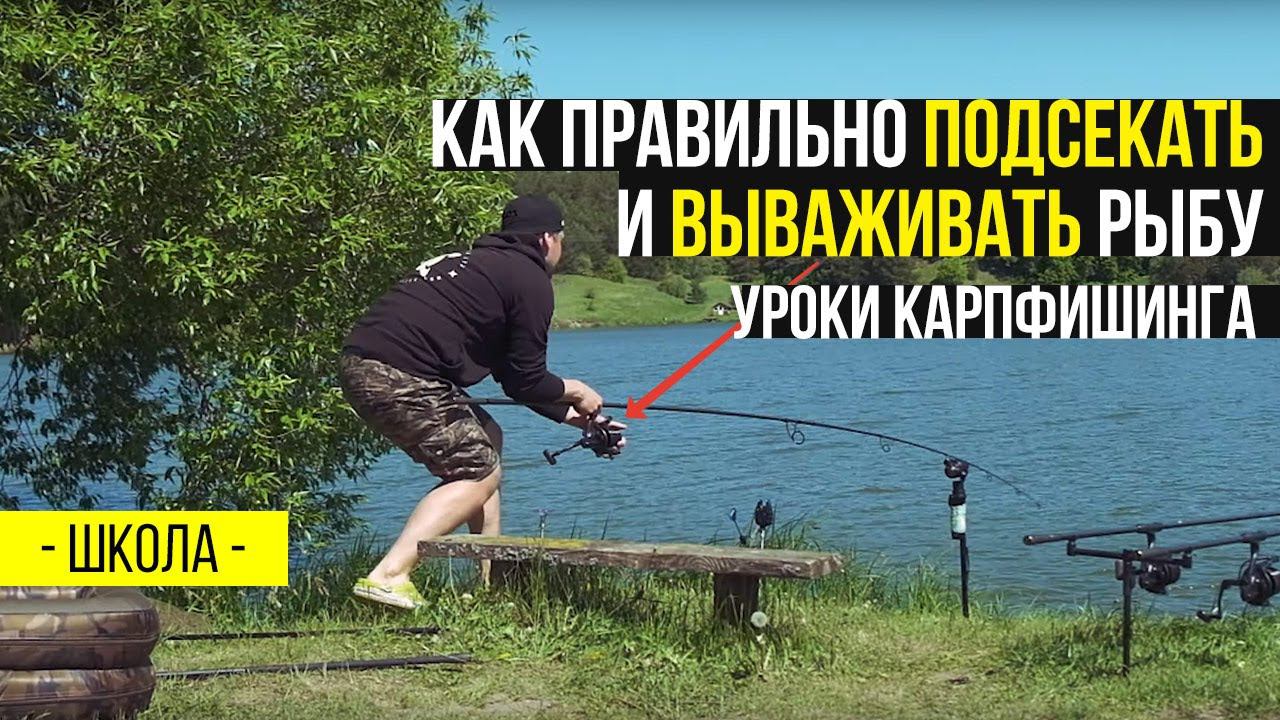 Как правильно ПОДСЕКАТЬ и ВЫВАЖИВАТЬ рыбу. Уроки КАРПФИШИНГА