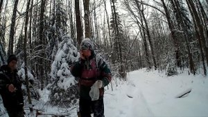 Отвод делянки местному населению под дрова.