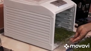 Как сушить укроп  на зиму ,для приготовления приправы.