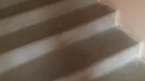 Закулисье реальная запись