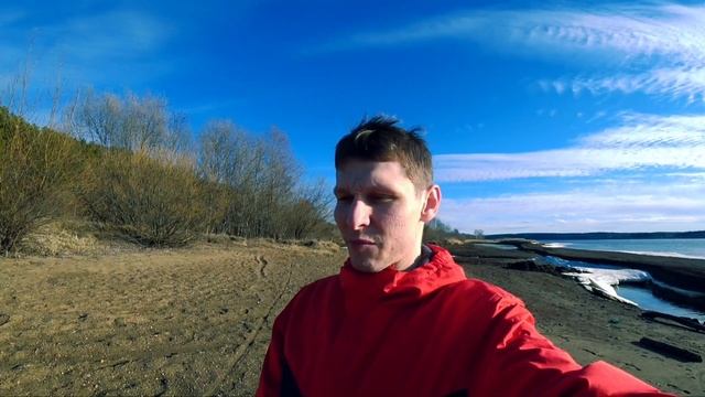 КАК ОБУЧИТЬ ХАСКИ ЕЗДОВОМУ СПОРТУ | ВКРАТЦЕ О ДРАЙЛЕНДЕ  #short #ездовойспорт #хаски #тренировки