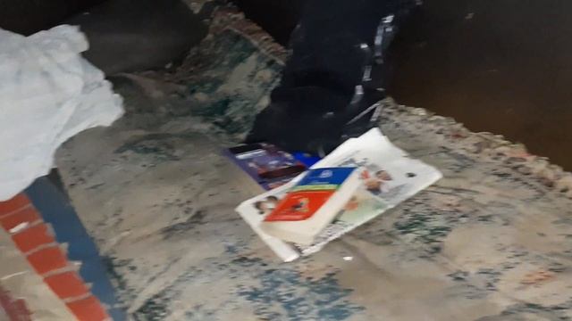 На озеро к ОТШЕЛЬНИКУ.8 лет в лесу .Рыбалка на лесном озере. смотреть онлайн