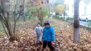 ПОЧЕМУ ДЕРЕВЬЯ СБРАСЫВАЮТ ЛИСТЬЯ? ВЫ НЕ ПОВЕРИТЕ!