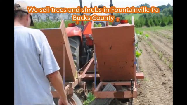 Planting Viburnums at Highland Hill Farm смотреть онлайн