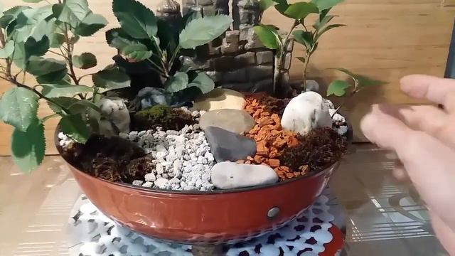 Бонсай Замок яблоневый сад Обзор смотреть онлайн