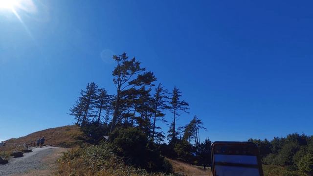 #158 Проездом решили тут посмотреть @JustNature4U смотреть онлайн