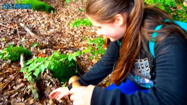 Атака БІЛИХ ГРИБІВ 2018. Новий початок смотреть онлайн