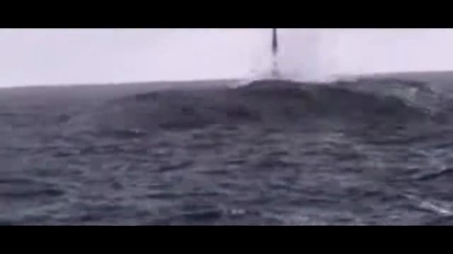 5 СЛУЧАЕВ КОГДА МЕГАЛОДОНА СНЯЛИ НА КАМЕРУ звёздыч