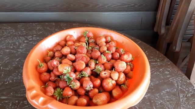 Буду варить клубничное варенье по рецепту Любы Ким.
