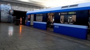 Вагон Нева прямоугольная с окнами