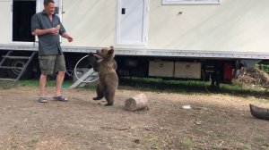 Медвежонок Том, провоцирую желание.