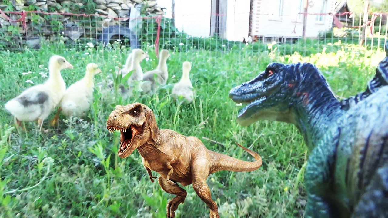 Динозавры игрушки динозавры охотятся на гусят.Видео .Dinosaurs toys prey on goslings.Videos