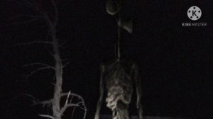 ЗВУКИ СЕРЕНОГОЛОВОГО!