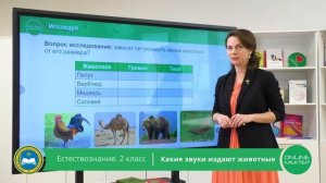 2 класс. Естествознание. Какие звуки издают животные. 06.05.2020