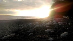 Гребешок Абхазия (чагрыпш) ,