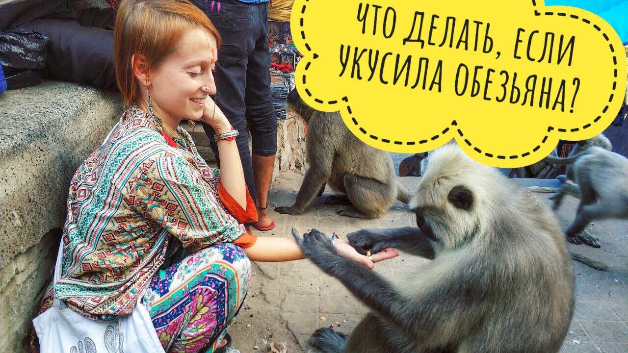 МЕНЯ УКУСИЛА ОБЕЗЬЯНА! Что делать?! // Самостоятельные путешествия