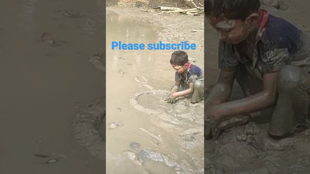 Fishing videos 🐟🐡🐟🐟🎣🎣🦈🐡🎏🎣🦈🐟🐡 смотреть онлайн