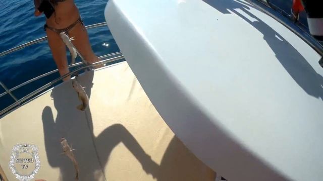 Рыбалка в Черном море !Крым