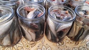 Домашние рыбные консервы из ставридки.