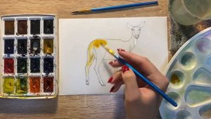 Как нарисовать косулю карандашом и акварелью начинающим | Рисунок для детей