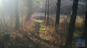 Уссурийск 2022 - Осенний Сосновый бор.mp4