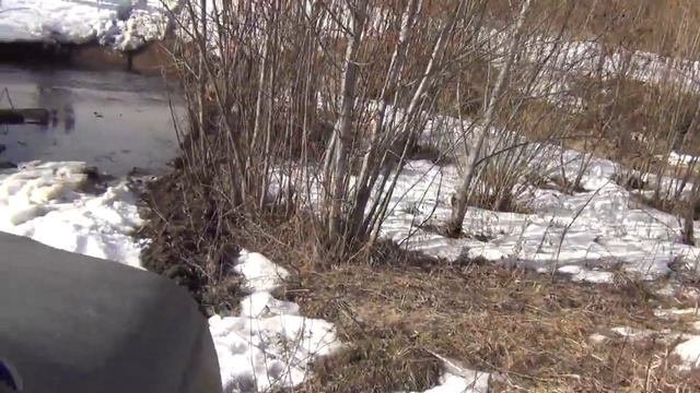 Весенняя самоизоляция