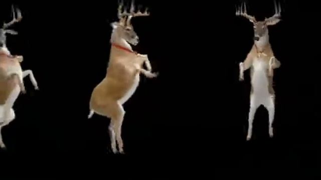Олень танцует!!! смотреть онлайн
