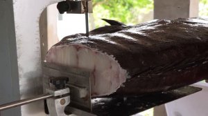DEEP SEA Fishing "Gigantic Mystic Grouper" {Catch Clean Cook} Filipino Fish Soup