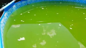 Мастер Пул правдивый отзыв о средстве