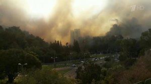 Россия окажет Израилю помощь в борьбе с лесными пожарами