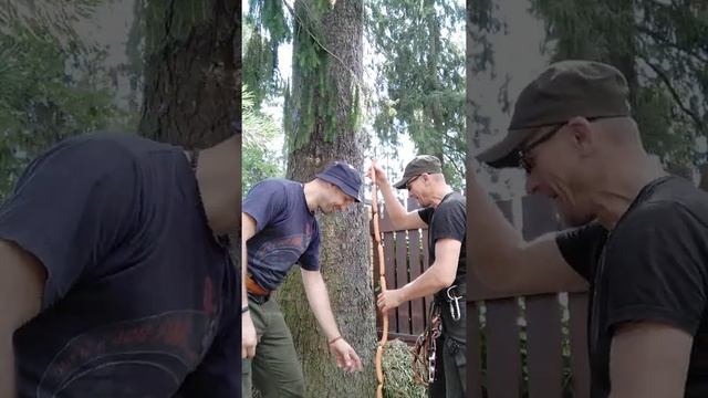 2-ой ролик Как измерить диаметр дерева смотреть онлайн