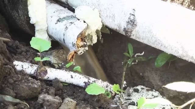 Озеро «Жемчужина Сибири» в Стрижах опять  оказалось в эпицентре экологического скандала