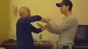 Ип Чун сын Ип Мана обучает Донни Йена