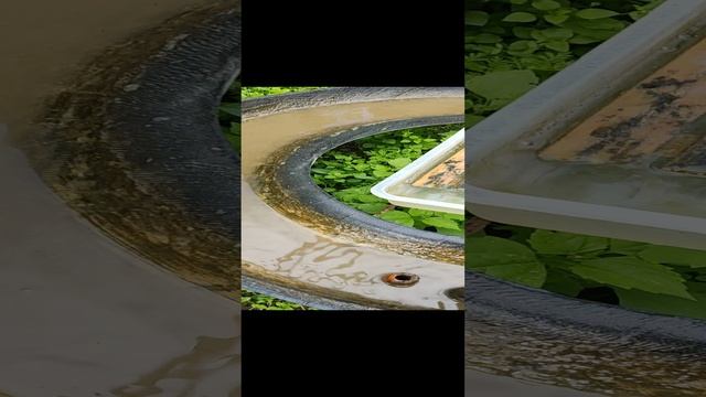 Поилка для пчёл
